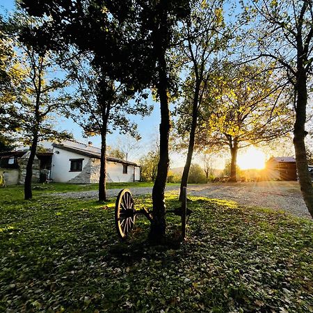 Ovostolai Cottage ฟอนนิ ภายนอก รูปภาพ