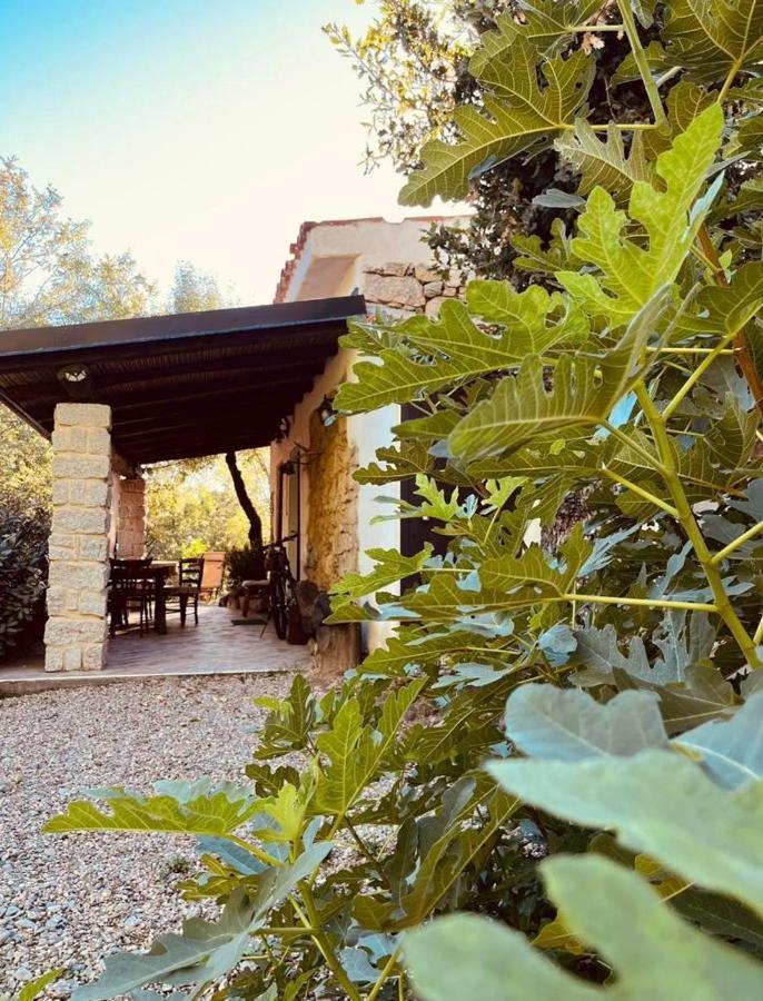 Ovostolai Cottage ฟอนนิ ภายนอก รูปภาพ